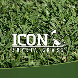 Icon Zoysiagrass®
