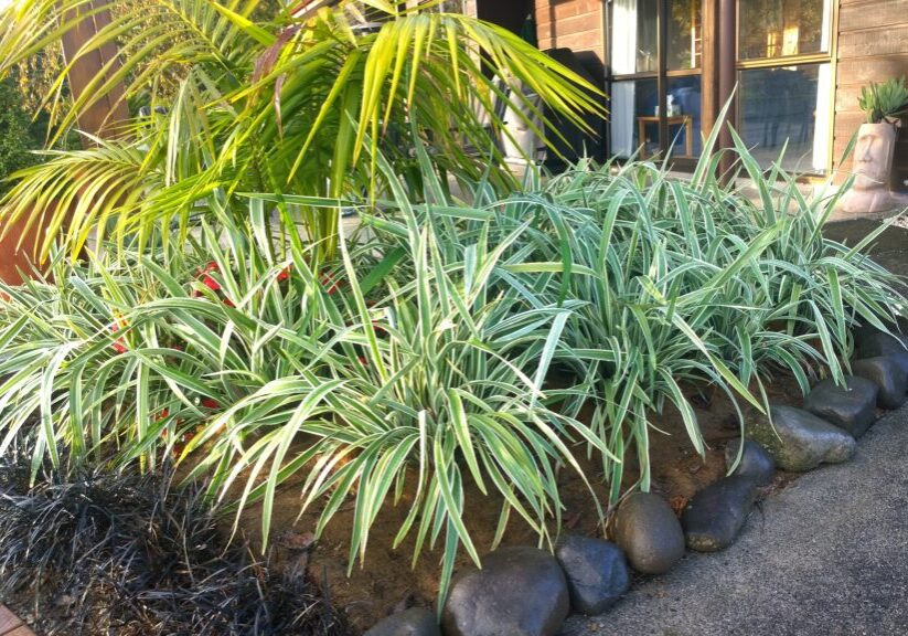 WP_20140514_08_10_24_Pro WP_20140514_08_10_24_Pro